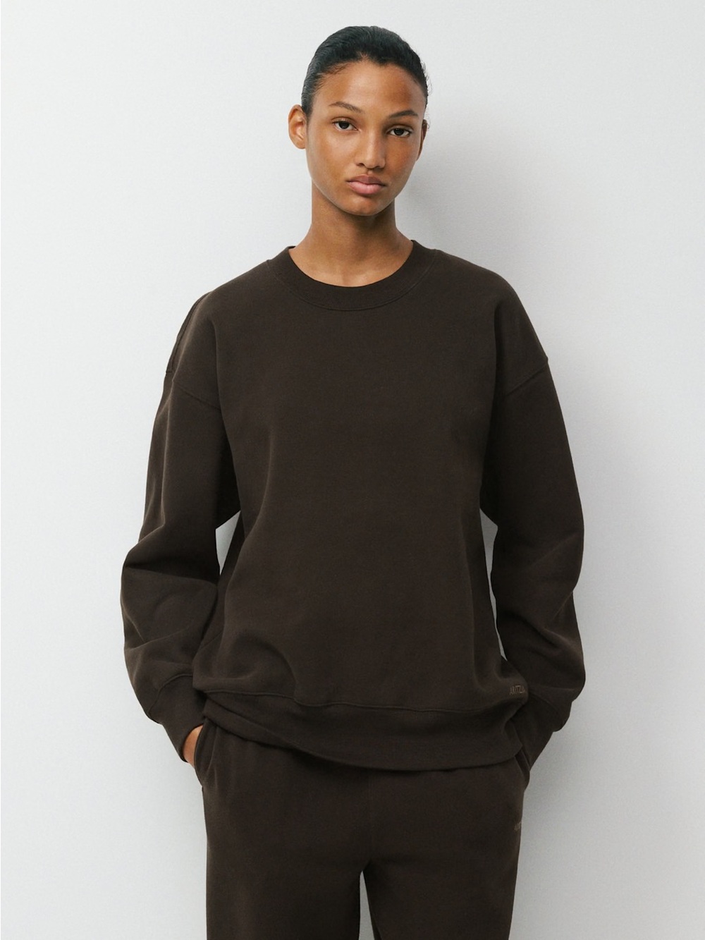 Aritzia Sweatfleece Boyfriend Crew Sweatshirt